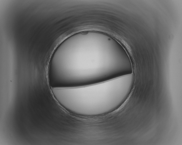 X0000102281529200807250931
