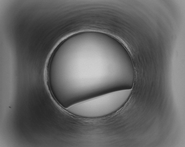 X0000102281531200807250931