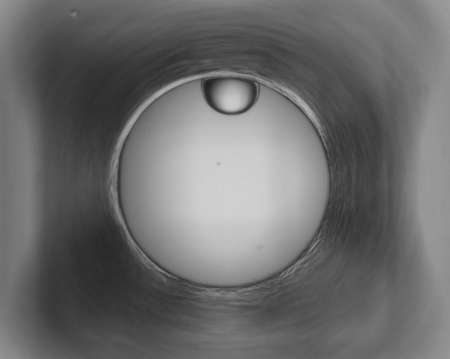 X0000102281532200807250931