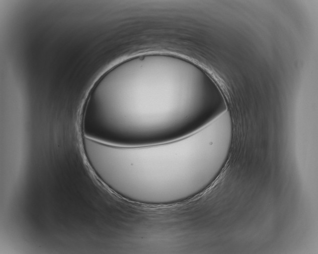 X0000102281534200807250931