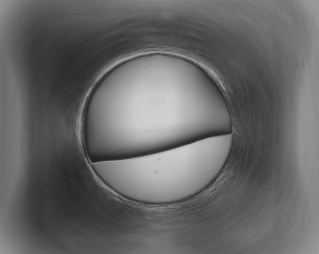 X0000102281535200807250931