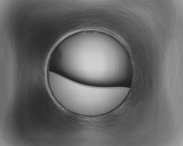 X0000102281536200807250931