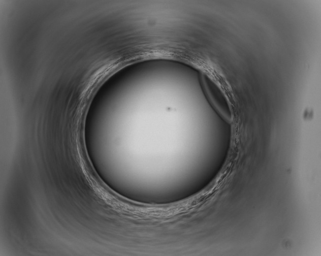 X0000102280001200807251409