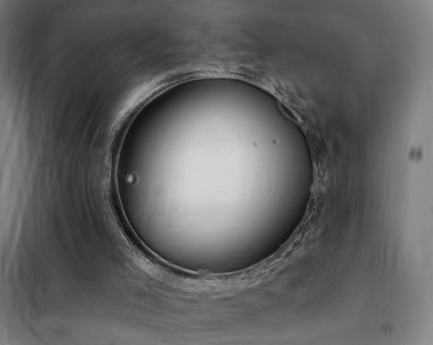 X0000102280005200807251409