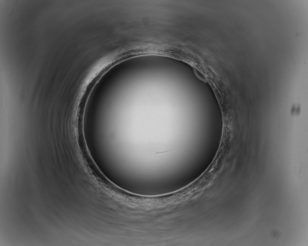 X0000102280006200807251409
