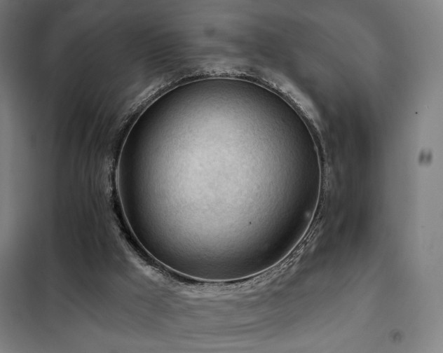 X0000102280009200807251409