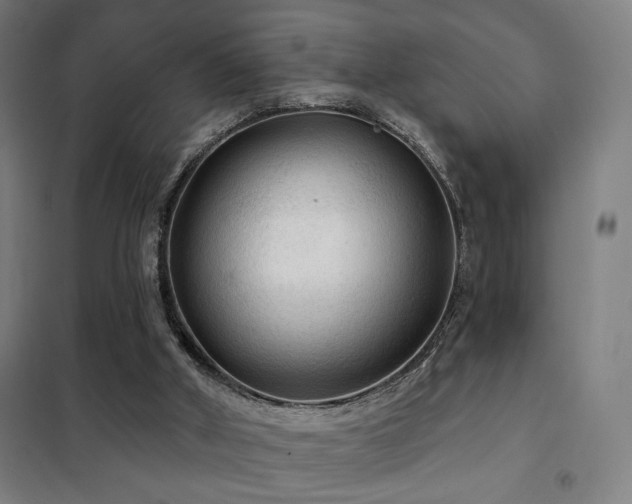 X0000102280010200807251409