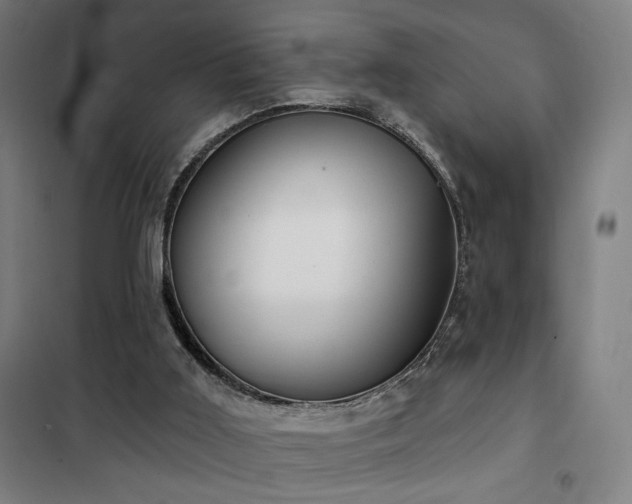 X0000102280011200807251409