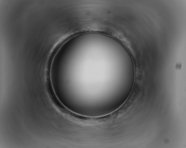 X0000102280012200807251409