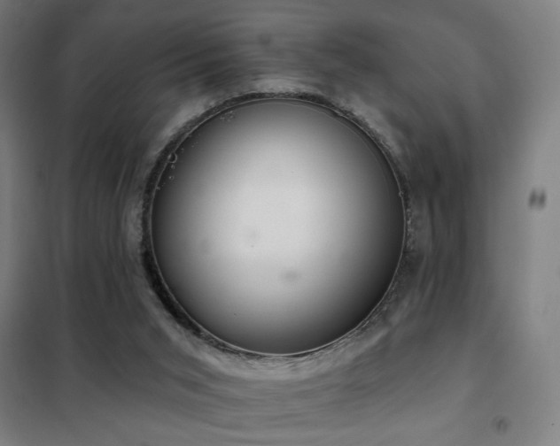 X0000102280015200807251409