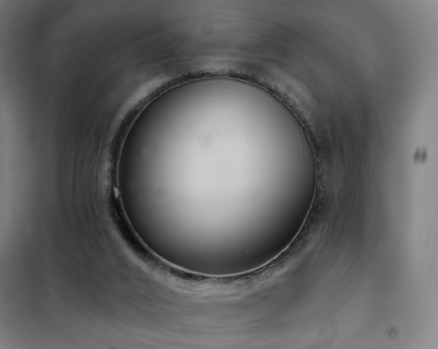 X0000102280016200807251409