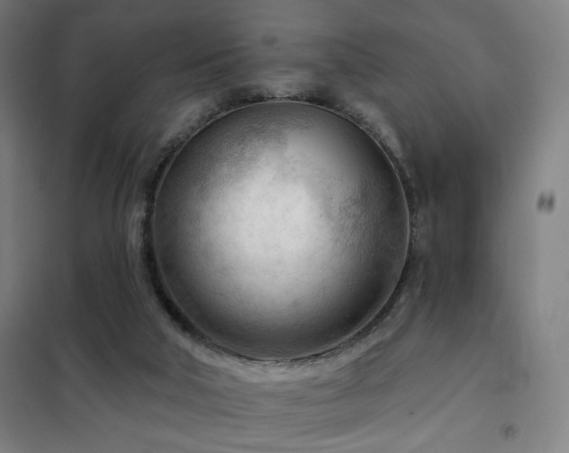 X0000102280018200807251409