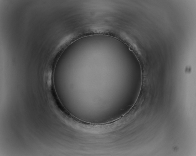 X0000102280019200807251409