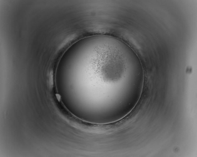 X0000102280020200807251409