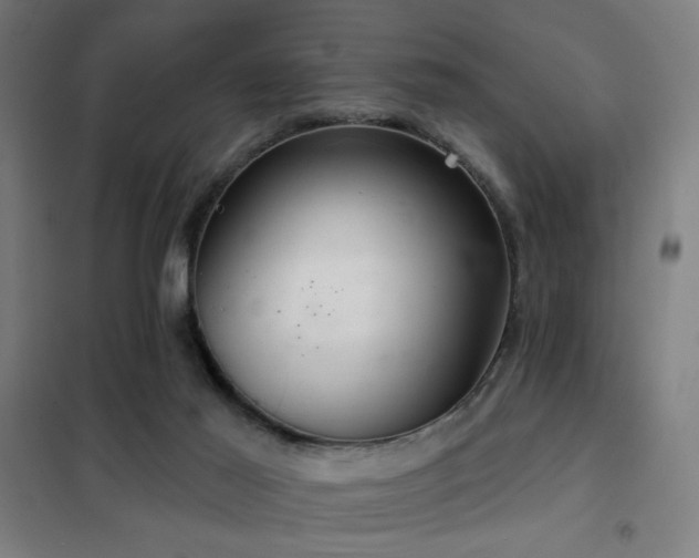 X0000102280021200807251409