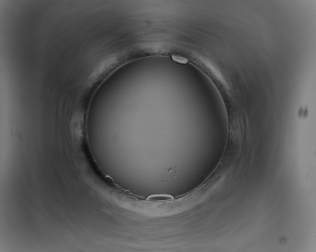 X0000102280023200807251409