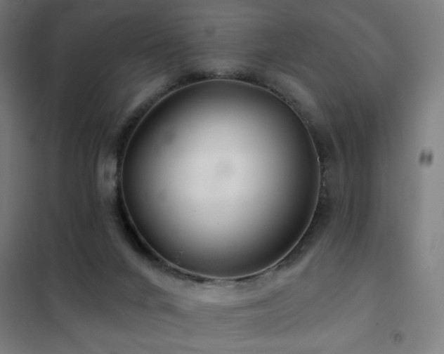 X0000102280024200807251409