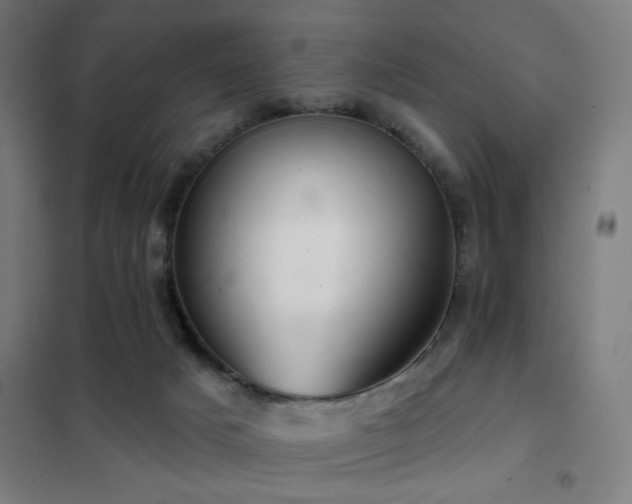X0000102280025200807251409
