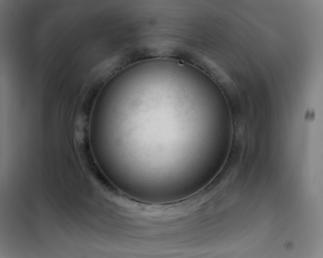X0000102280026200807251409