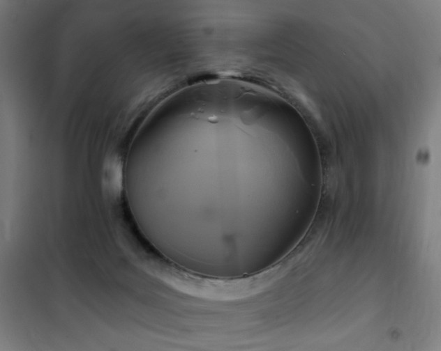 X0000102280027200807251409