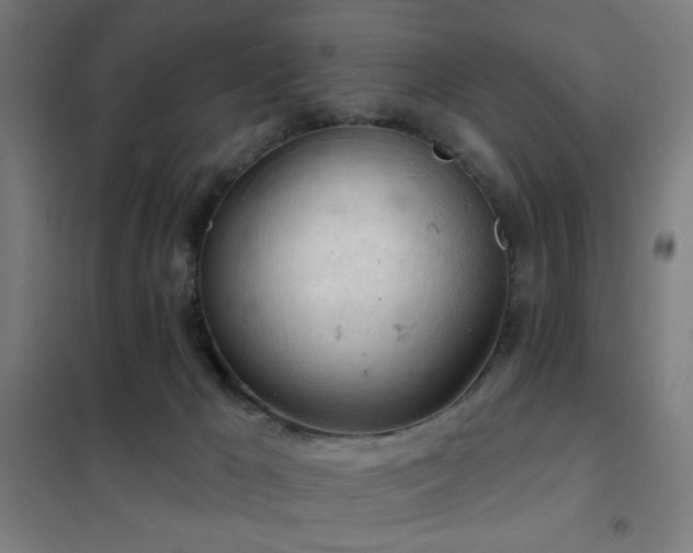 X0000102280029200807251409