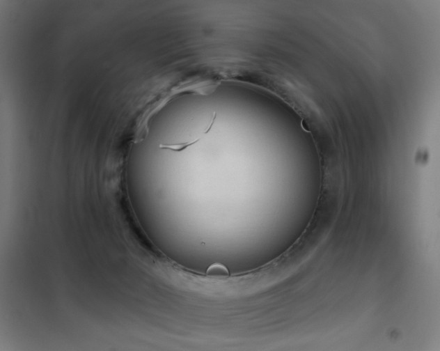 X0000102280030200807251409