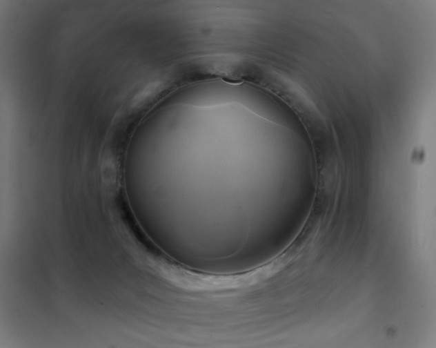 X0000102280031200807251409