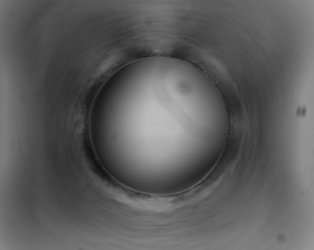 X0000102280032200807251409