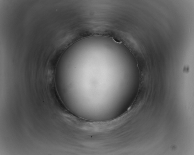 X0000102280033200807251409