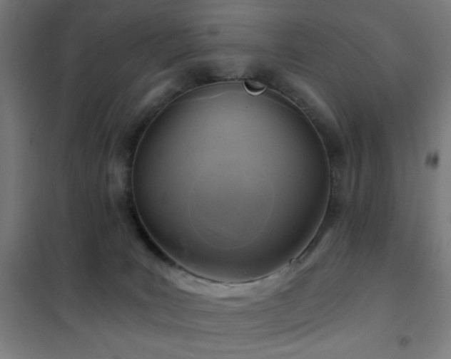 X0000102280035200807251409