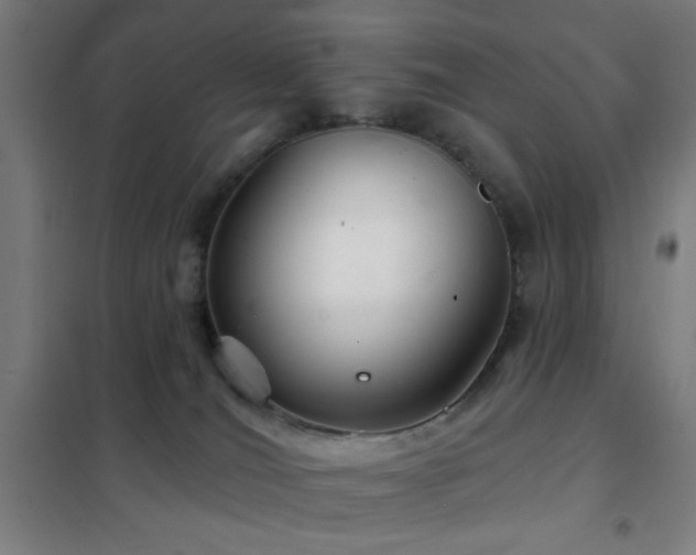 X0000102280036200807251408