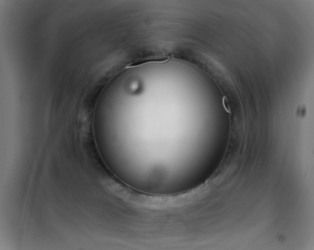 X0000102280037200807251408
