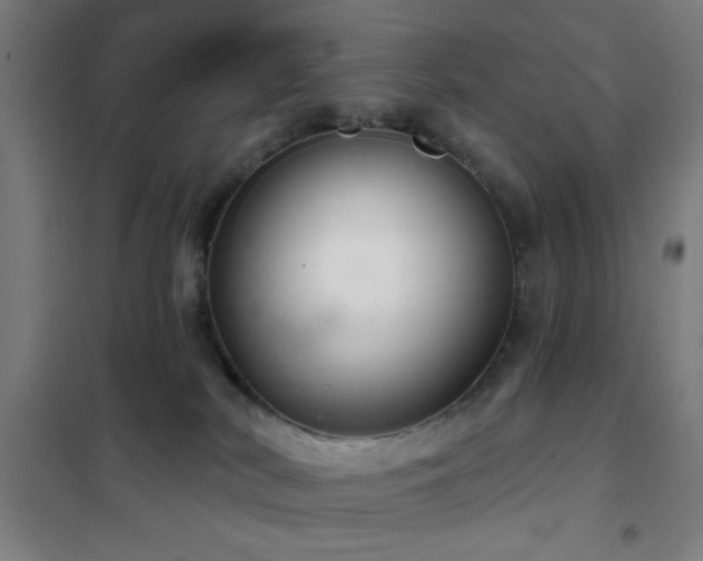 X0000102280038200807251408