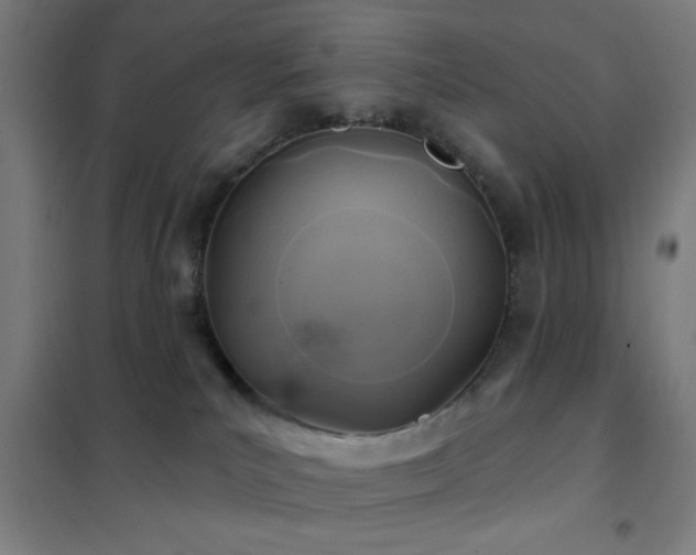 X0000102280039200807251408