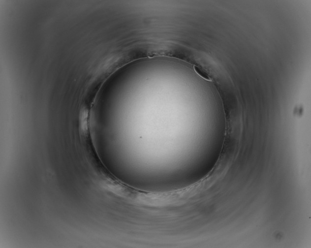 X0000102280041200807251408