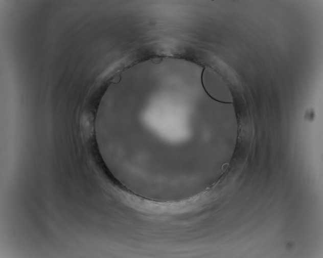 X0000102280043200807251408