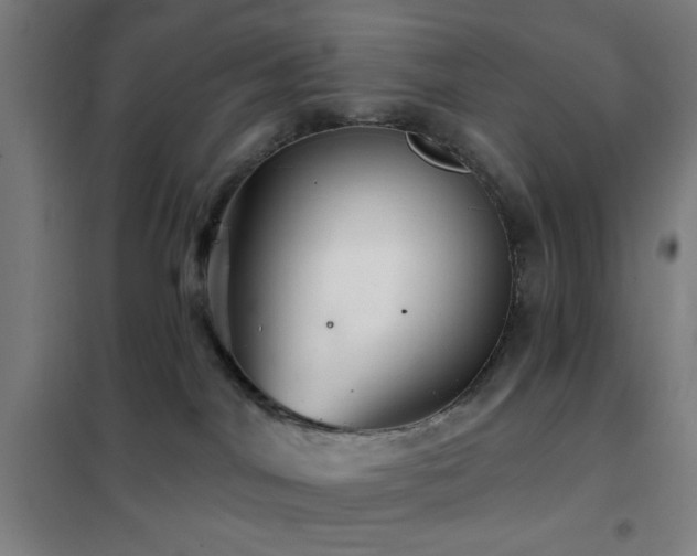 X0000102280044200807251408