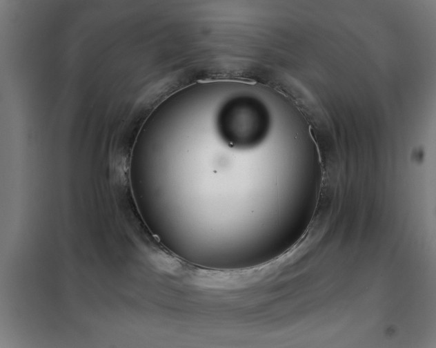 X0000102280045200807251408