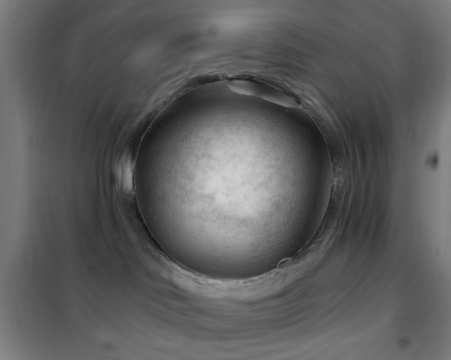 X0000102280046200807251408