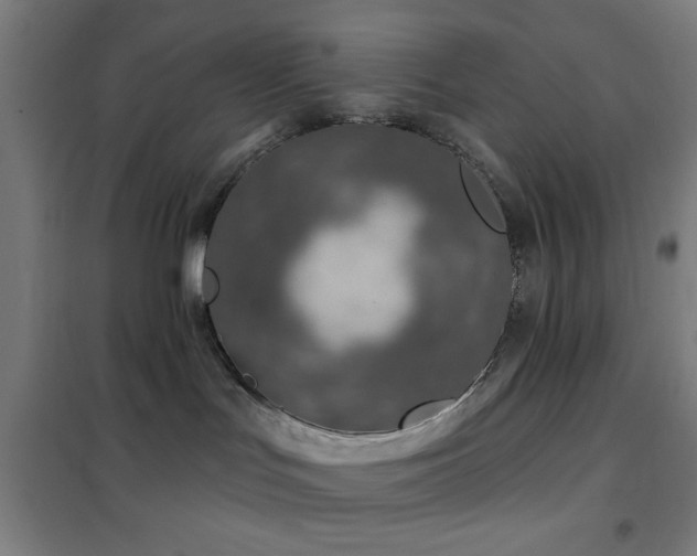 X0000102280047200807251408