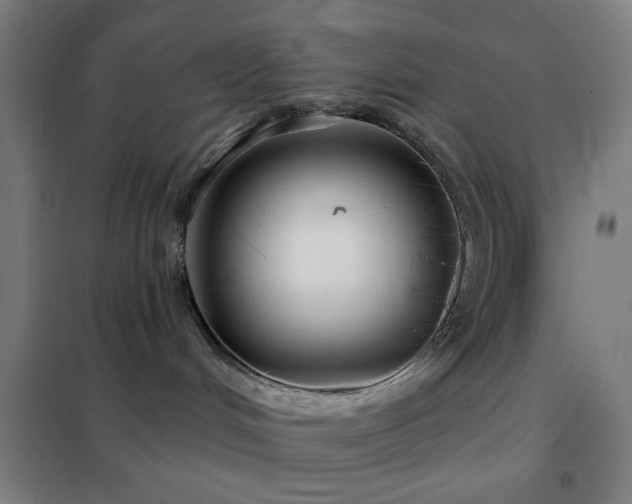 X0000102280048200807251408