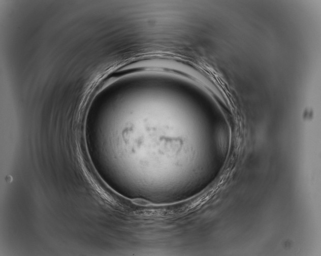 X0000102280049200807251408