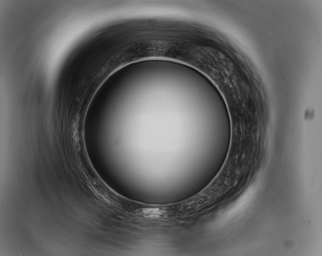 X0000102280050200807251408