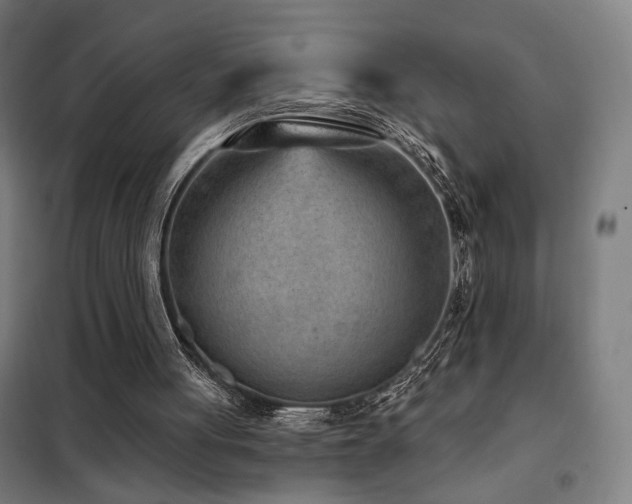 X0000102280051200807251408