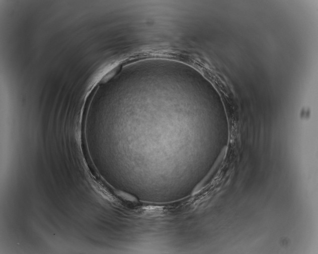 X0000102280052200807251408