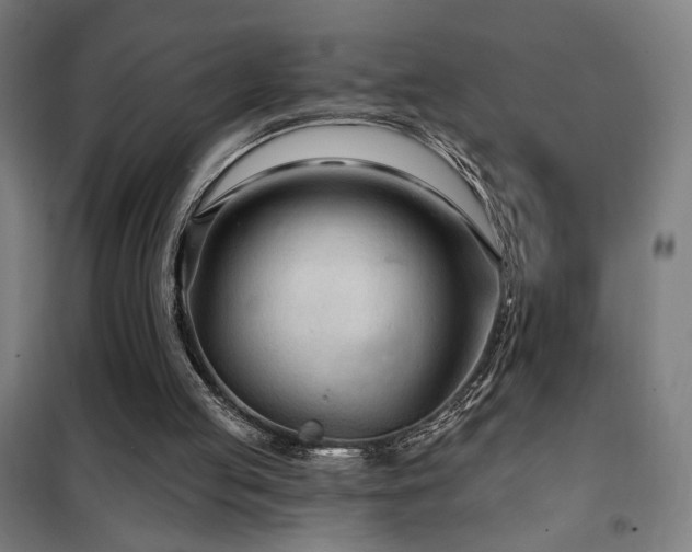 X0000102280053200807251408