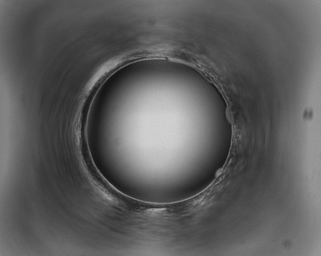 X0000102280054200807251408