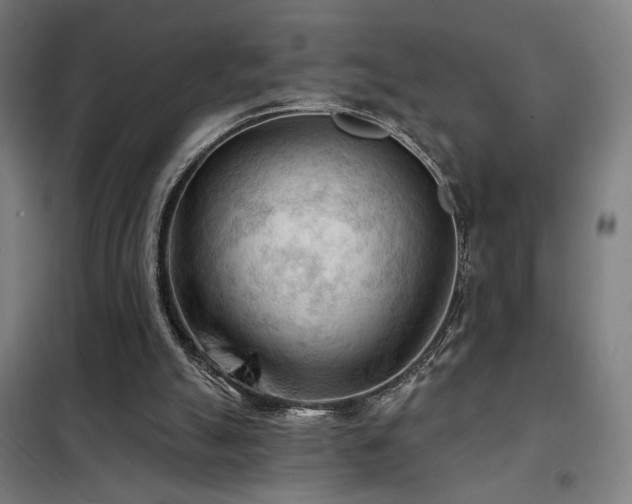 X0000102280055200807251408