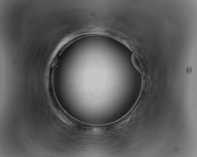 X0000102280056200807251408