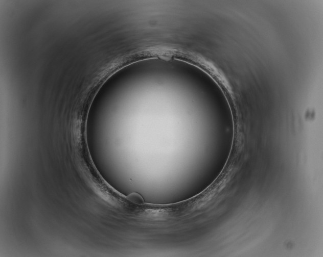 X0000102280057200807251408
